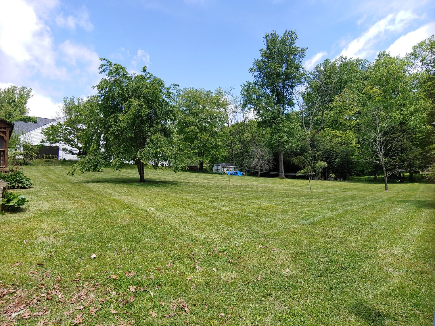 Image for CLEAN RANCHER ON 2.8+/- ACRE LOT W/ 70’ X 15’ STORAGE BULIDING W/ ELECTRIC & LIGHTING