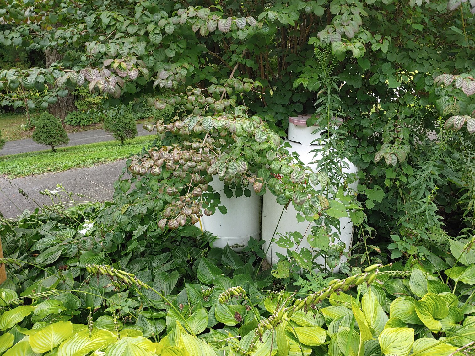 Image for CLEAN RANCHER ON 2.8+/- ACRE LOT W/ 70’ X 15’ STORAGE BULIDING W/ ELECTRIC & LIGHTING