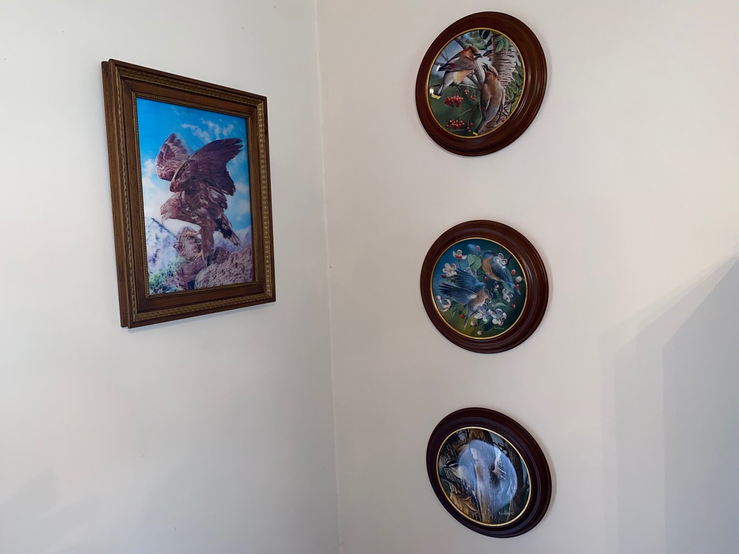 Image for ABSOLUTE ESTATE AUCTION 5951 KENTUCKY DAM ROAD