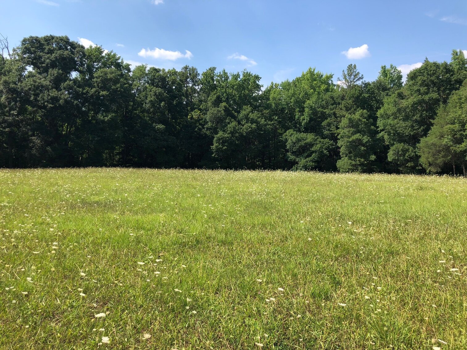 Image for 4560 Concord Pkwy S, Concord, NC 28027