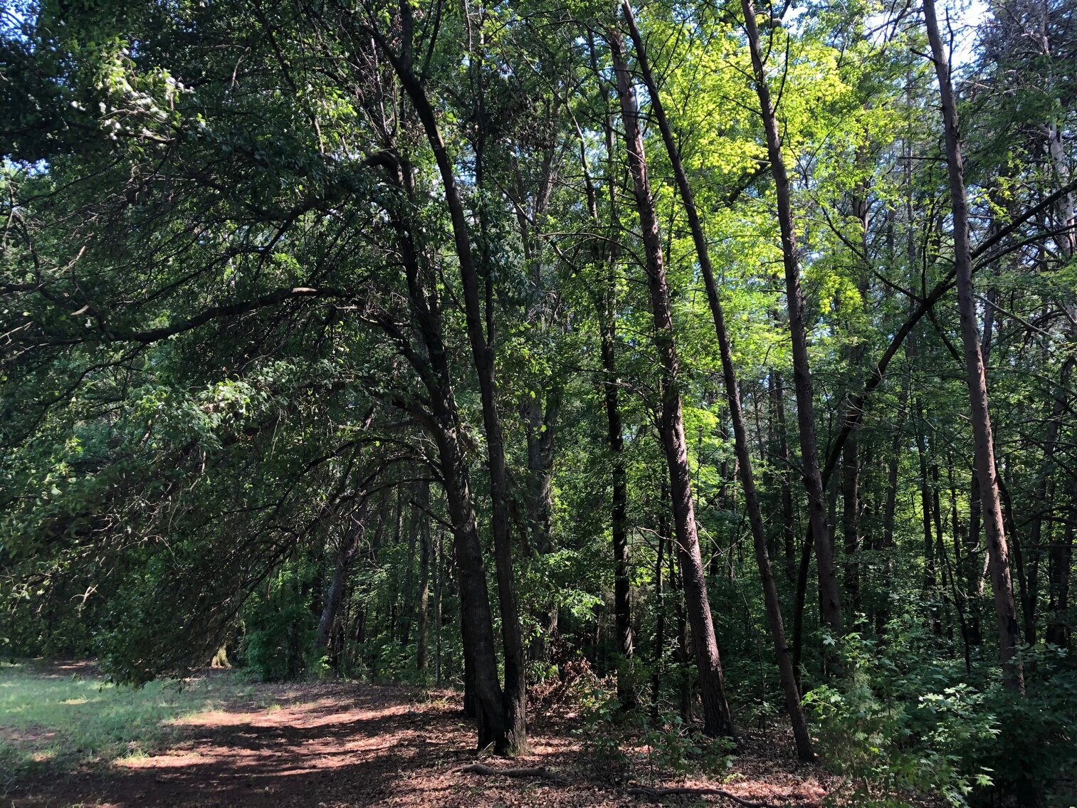 Image for 4560 Concord Pkwy S, Concord, NC 28027