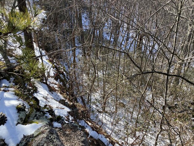 Image for 73 Acres Wooded Recreational Land