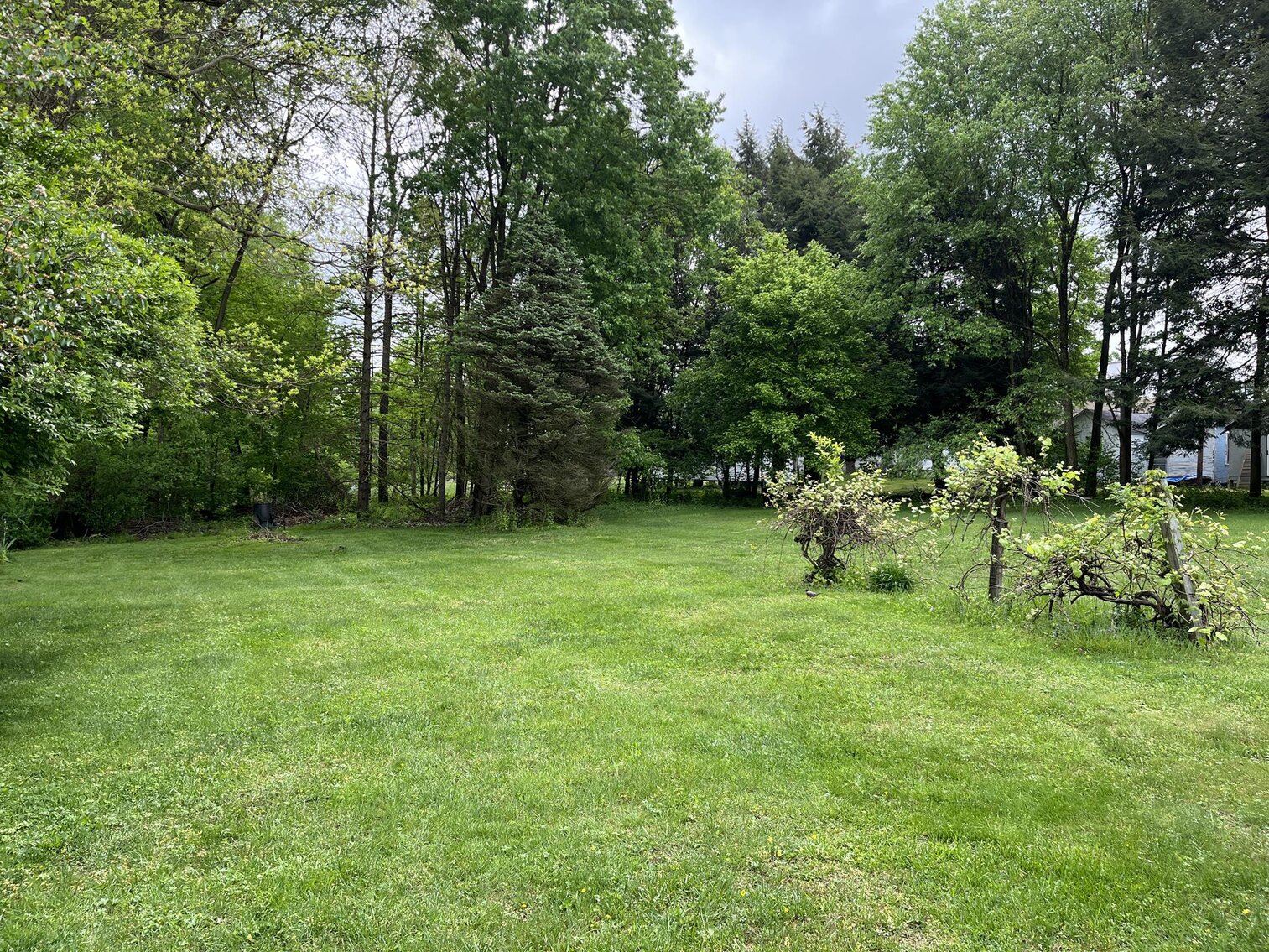 Image for SOLD $88,000 - Move-in Ready 3 Bedroom Selling to the Highest Bidder