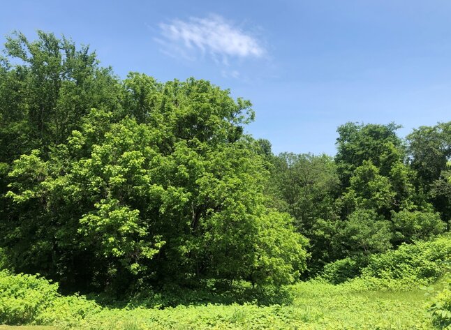 Image for Prince Edward County VA Tax Delinquent Sale of Real Estate