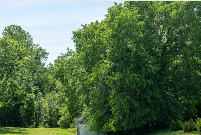 Image for Prince Edward County VA Tax Delinquent Sale of Real Estate