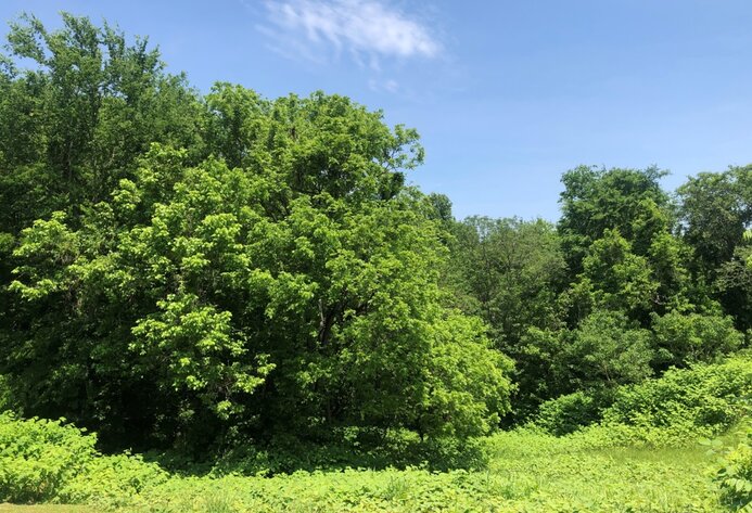 Image for Prince Edward County VA Tax Delinquent Sale of Real Estate