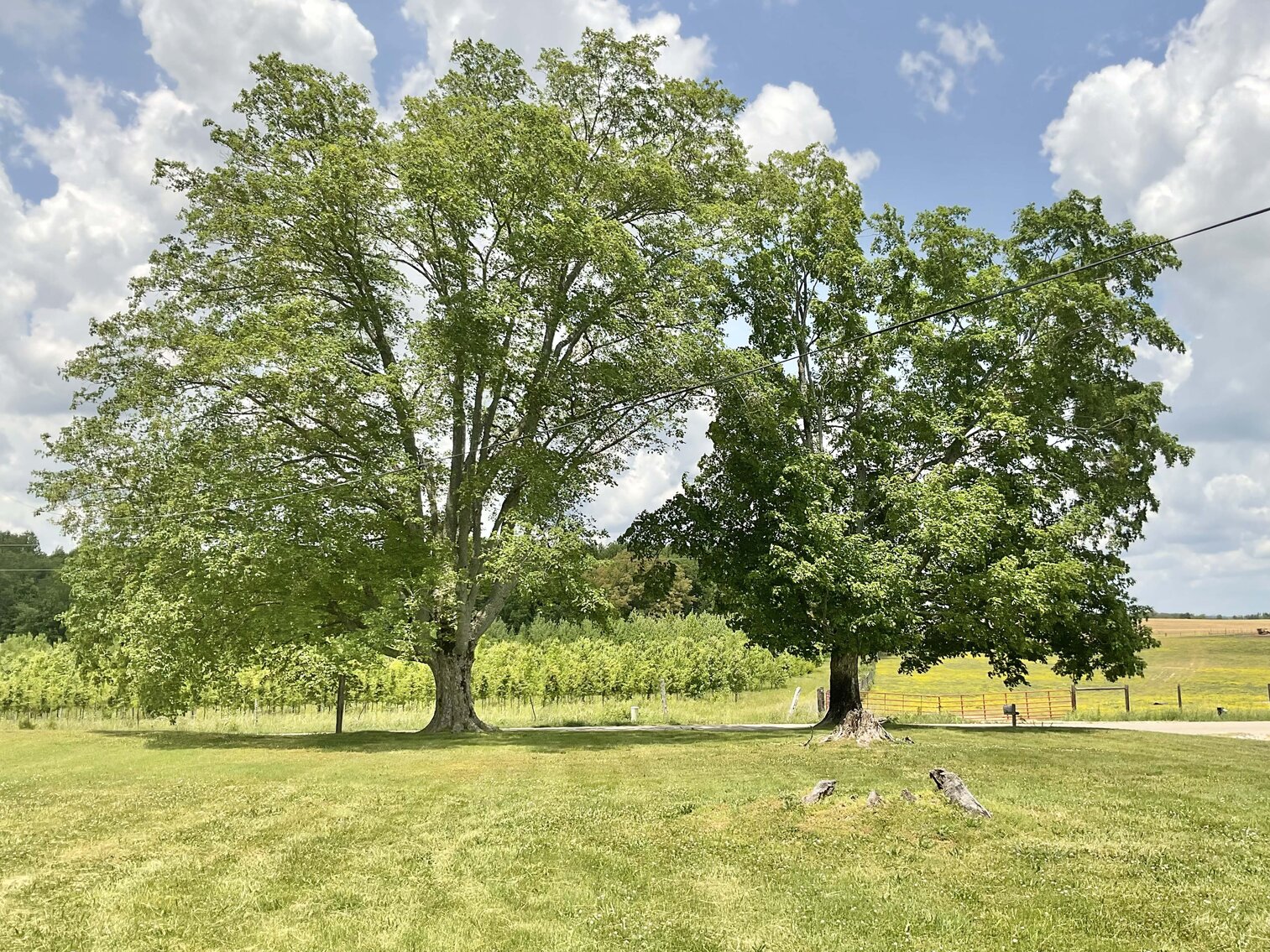 Image for 491 Love Road, Morrison