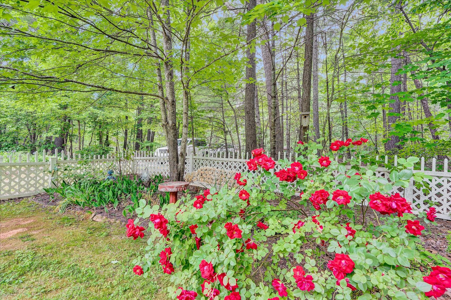 Image for 675 Sweetbriar Lane