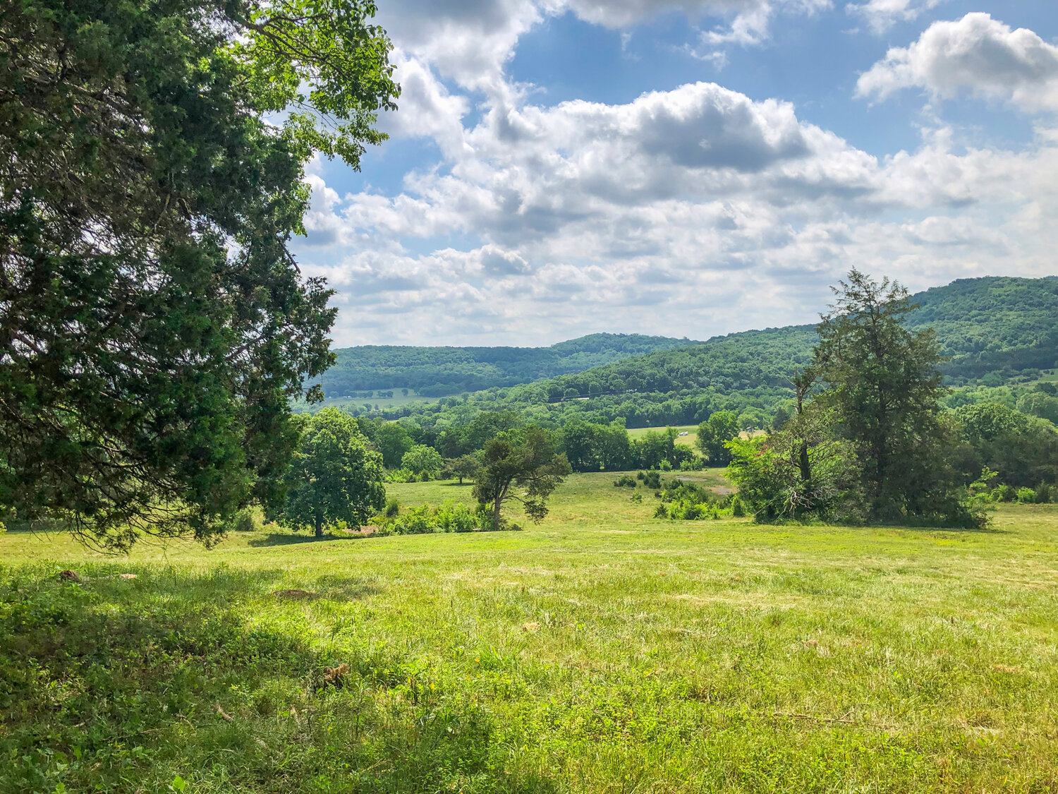 Image for Knox Road & Cunningham Road, Readyville