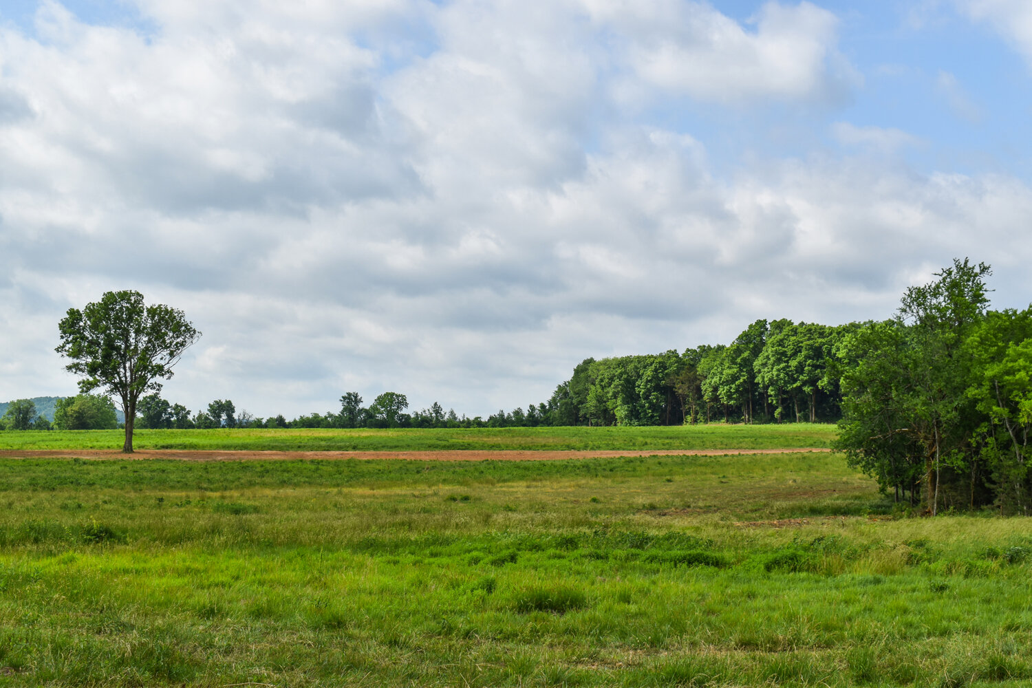 Image for Knox Road & Cunningham Road, Readyville