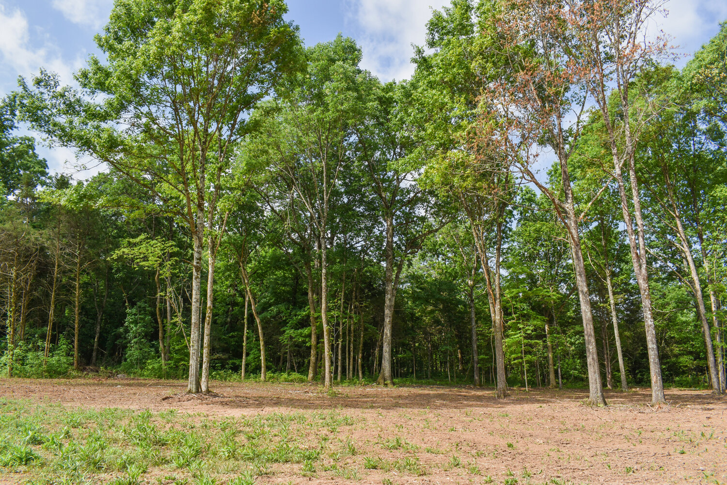 Image for Knox Road & Cunningham Road, Readyville