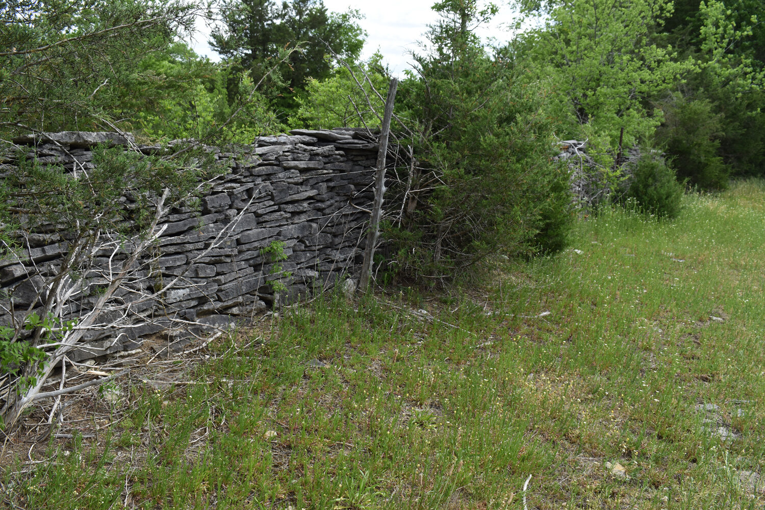 Image for Knox Road & Cunningham Road, Readyville