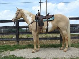 Image for 606 Sales and Events, LLC Memorial Day Sale