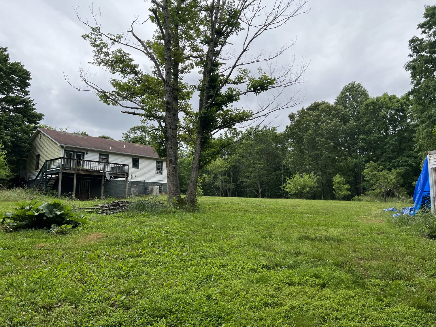 Image for Beautiful 10 Acres  with a 1176 Sq.Ft  Single Family home with an Equally big, partially renovated basement