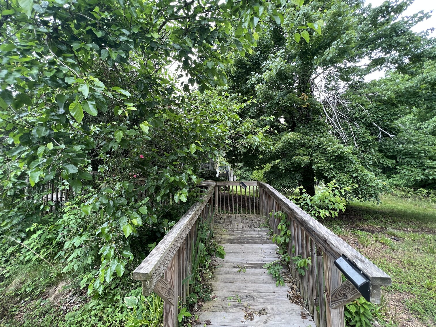 Image for Beautiful 10 Acres  with a 1176 Sq.Ft  Single Family home with an Equally big, partially renovated basement