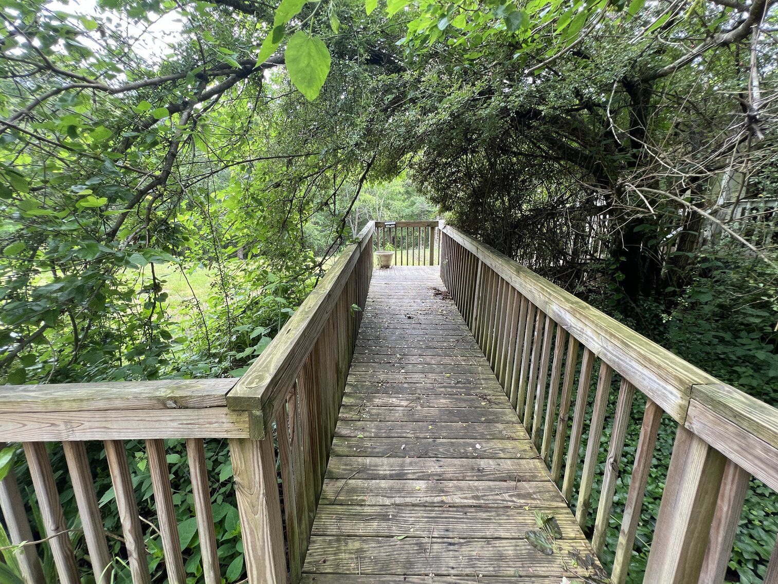 Image for Beautiful 10 Acres  with a 1176 Sq.Ft  Single Family home with an Equally big, partially renovated basement