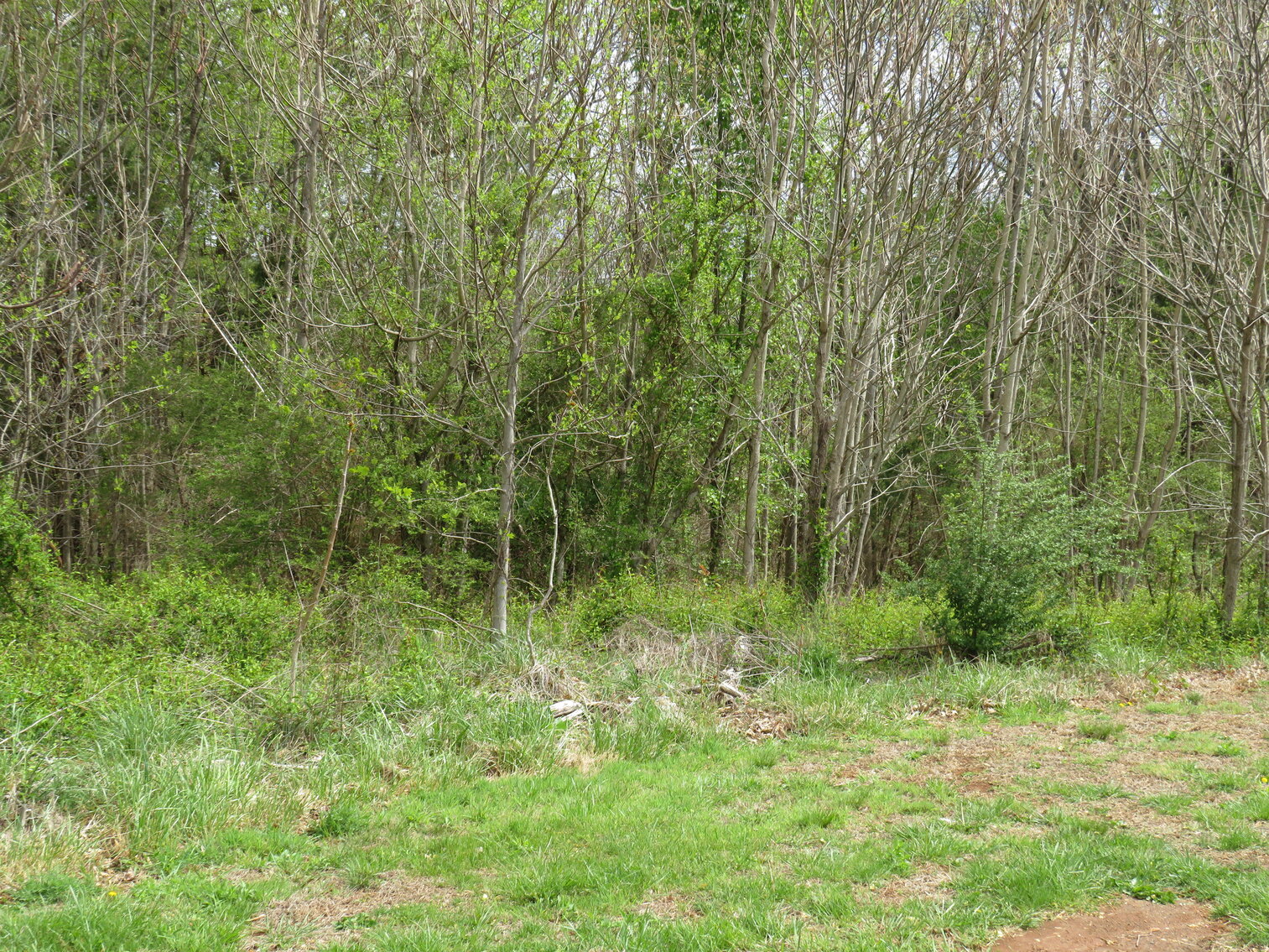 Image for Lot 42 Soybean Drive, Appomattox, VA 24522