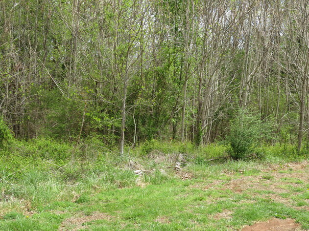 Image for Lot 42 Soybean Drive, Appomattox, VA 24522