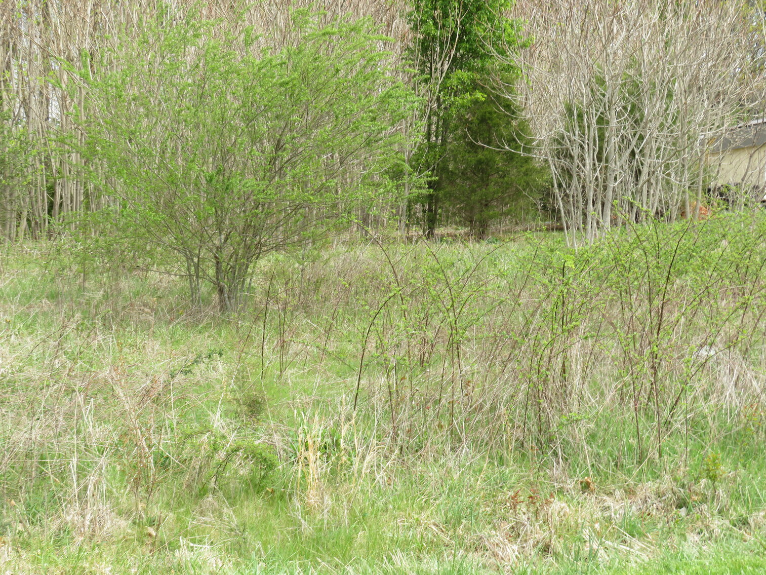 Image for Lot 44 Soybean Drive, Appomattox, VA 24522