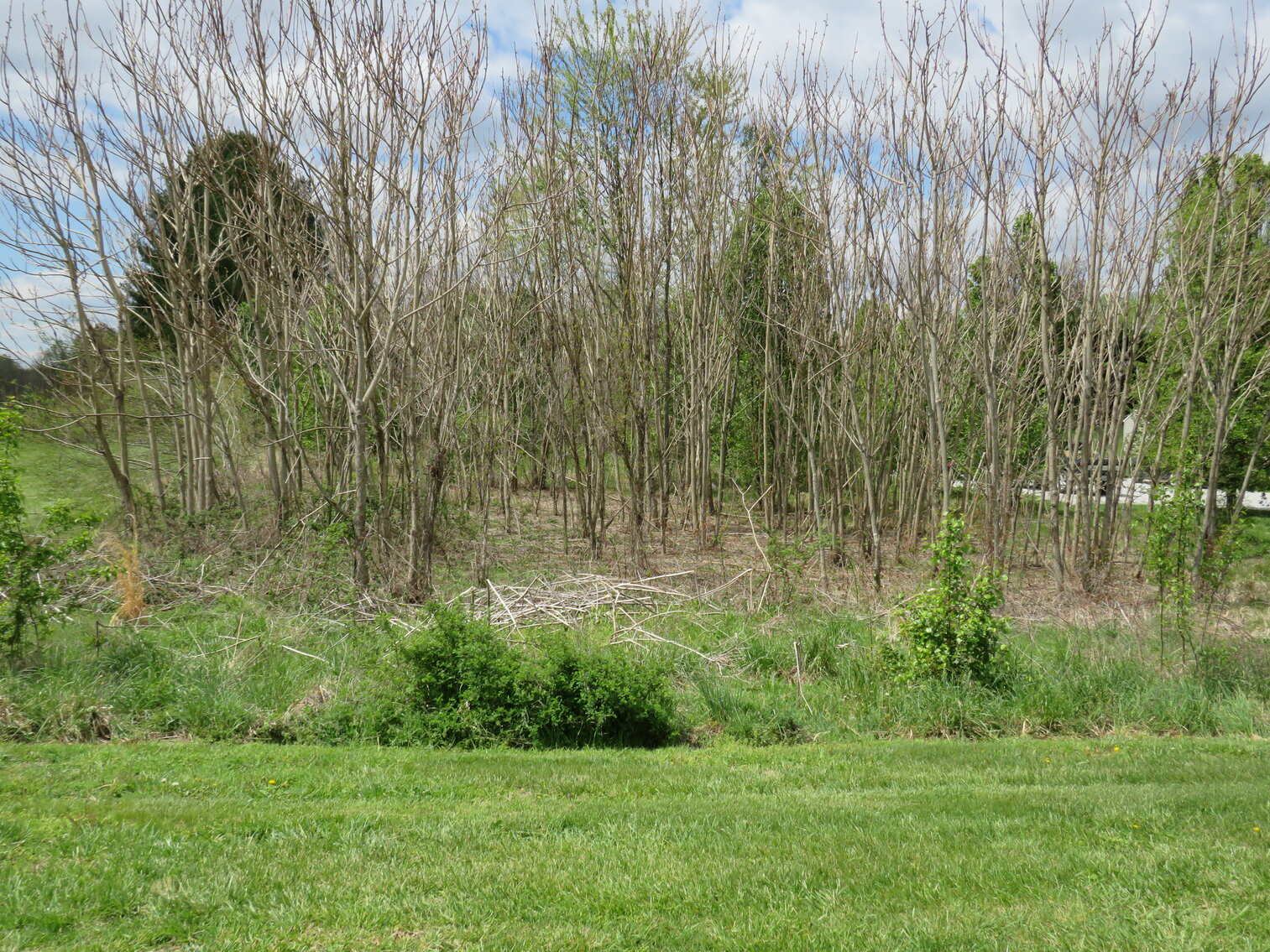 Image for Lot 45 Soybean Drive, Appomattox, VA 24522