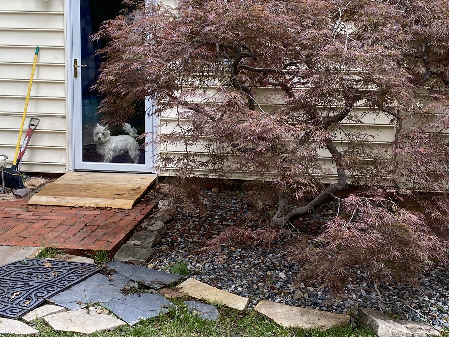 Image for 7419 Sandlewood Drive