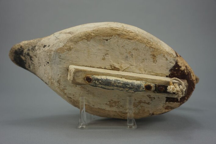 Image for June Online Sportsman's Auction 2022