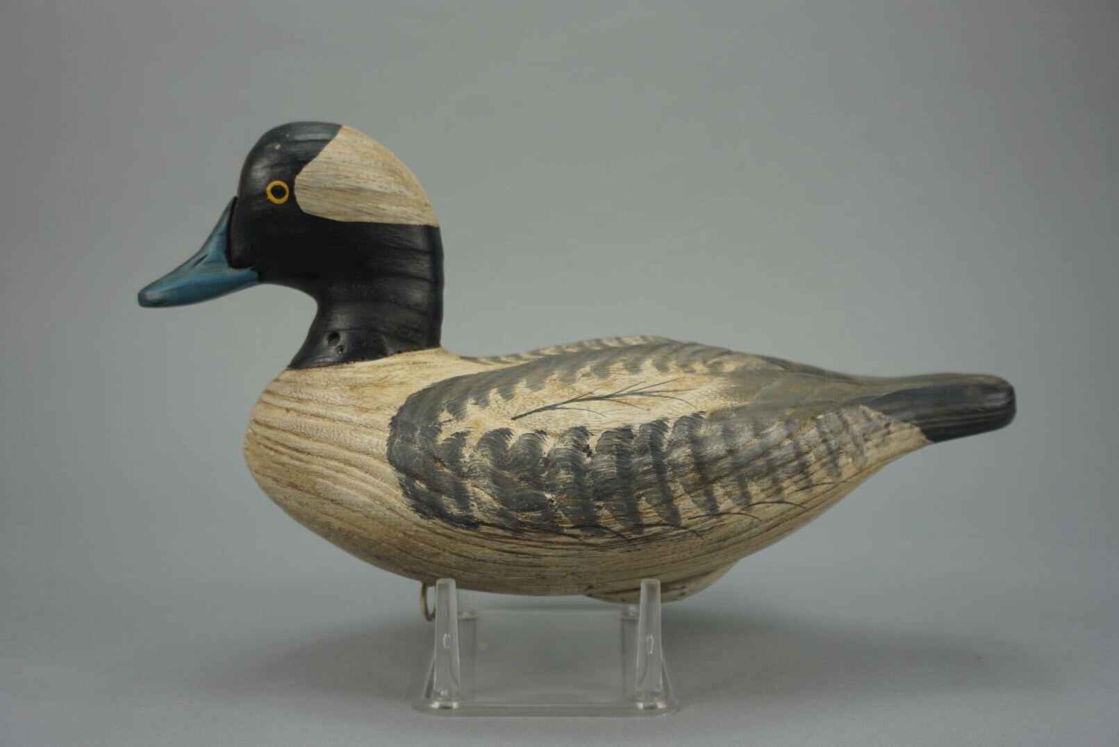 Image for June Online Sportsman's Auction 2022