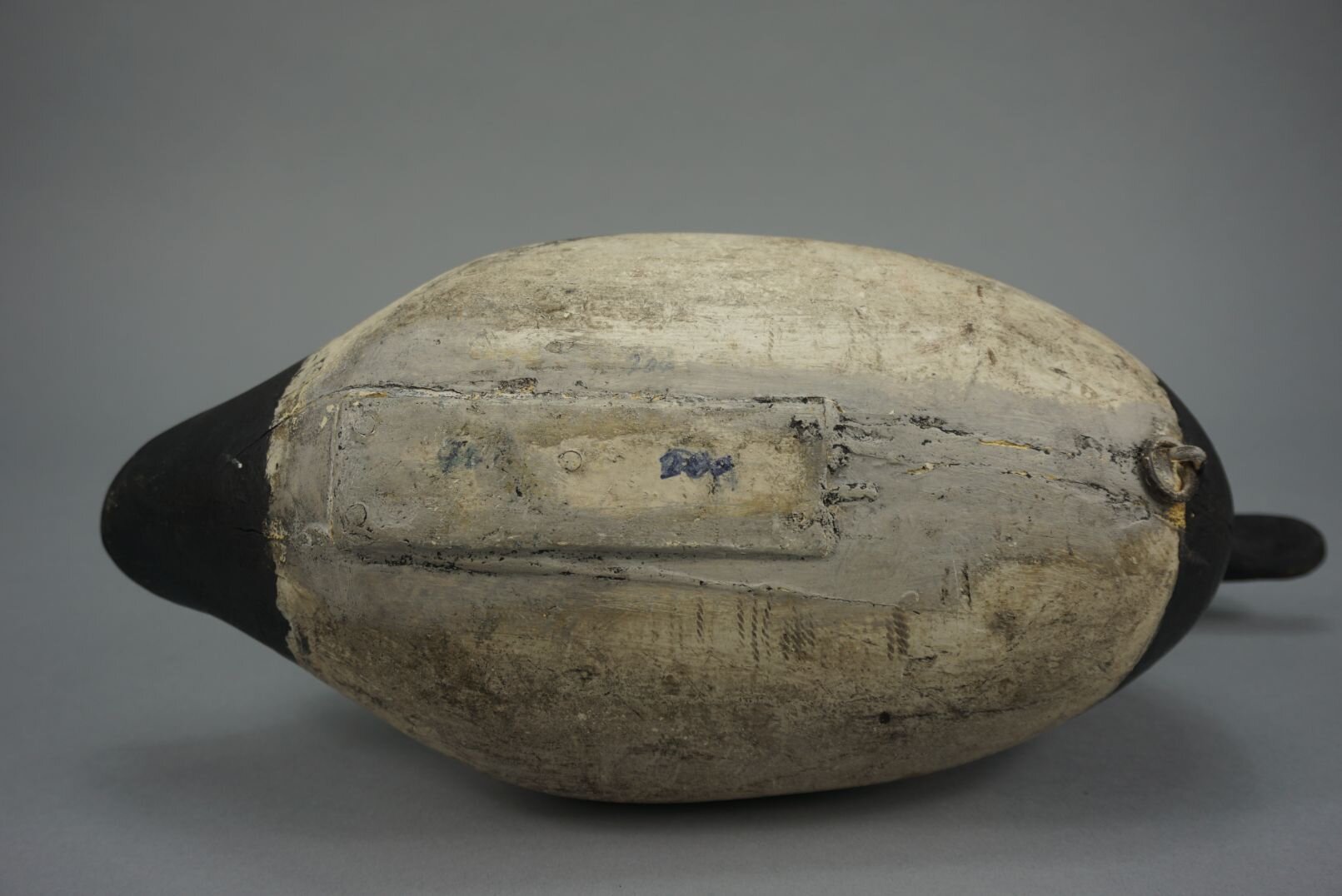 Image for June Online Sportsman's Auction 2022