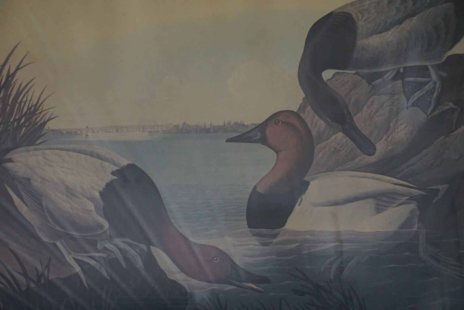 Image for June Online Sportsman's Auction 2022