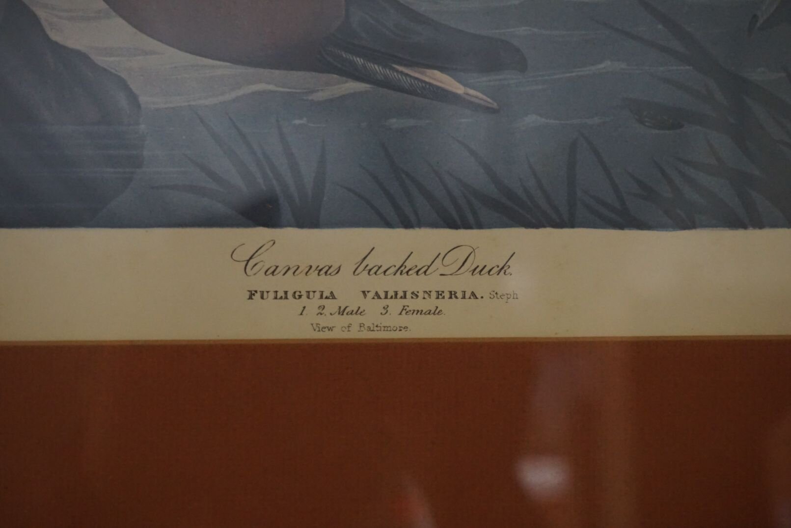 Image for June Online Sportsman's Auction 2022