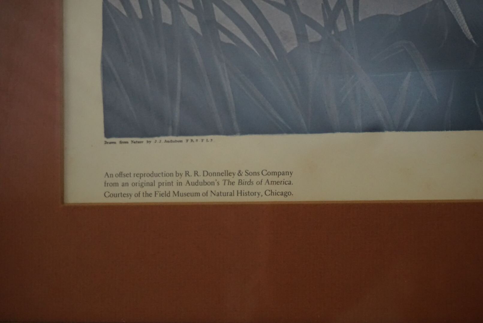 Image for June Online Sportsman's Auction 2022