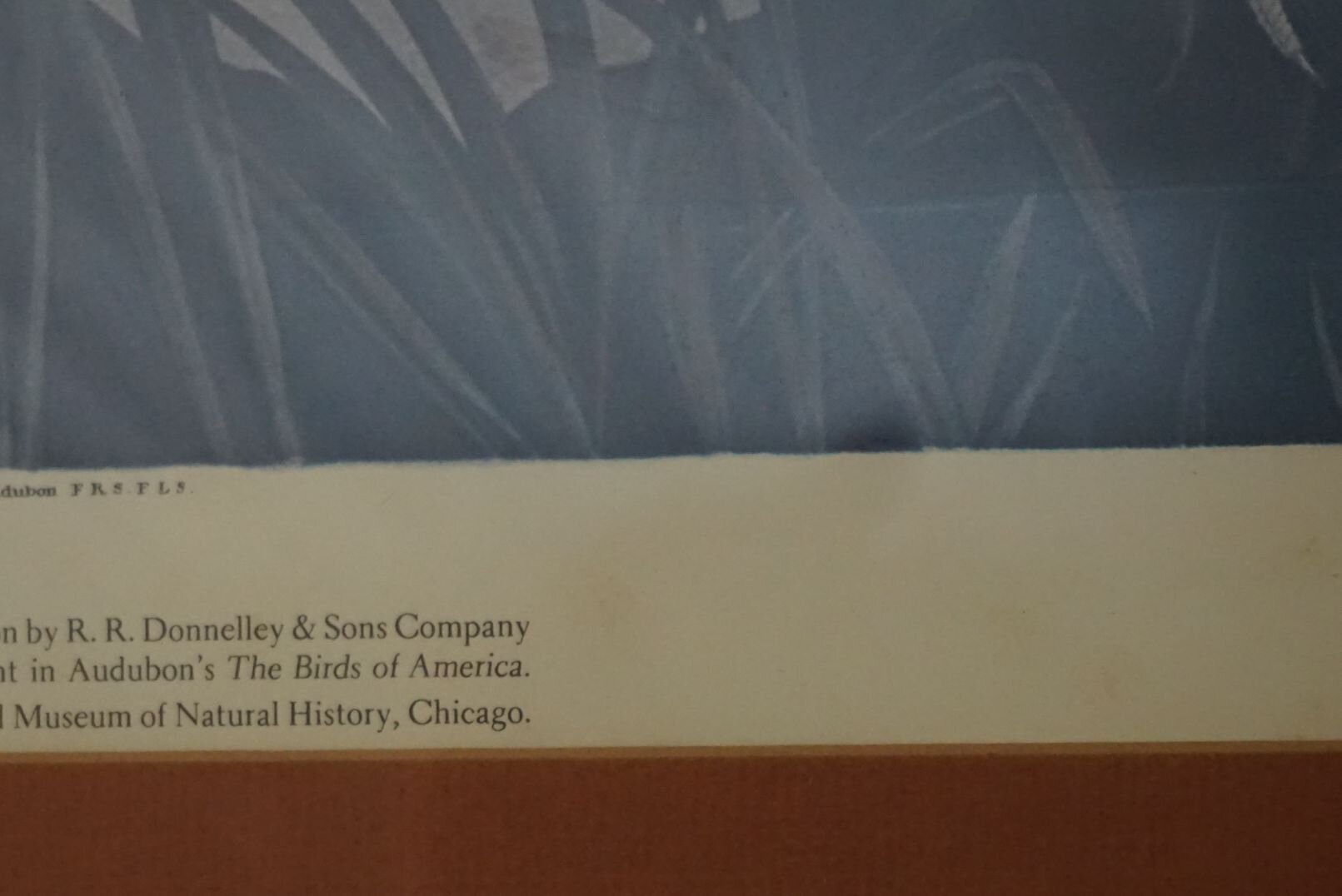 Image for June Online Sportsman's Auction 2022