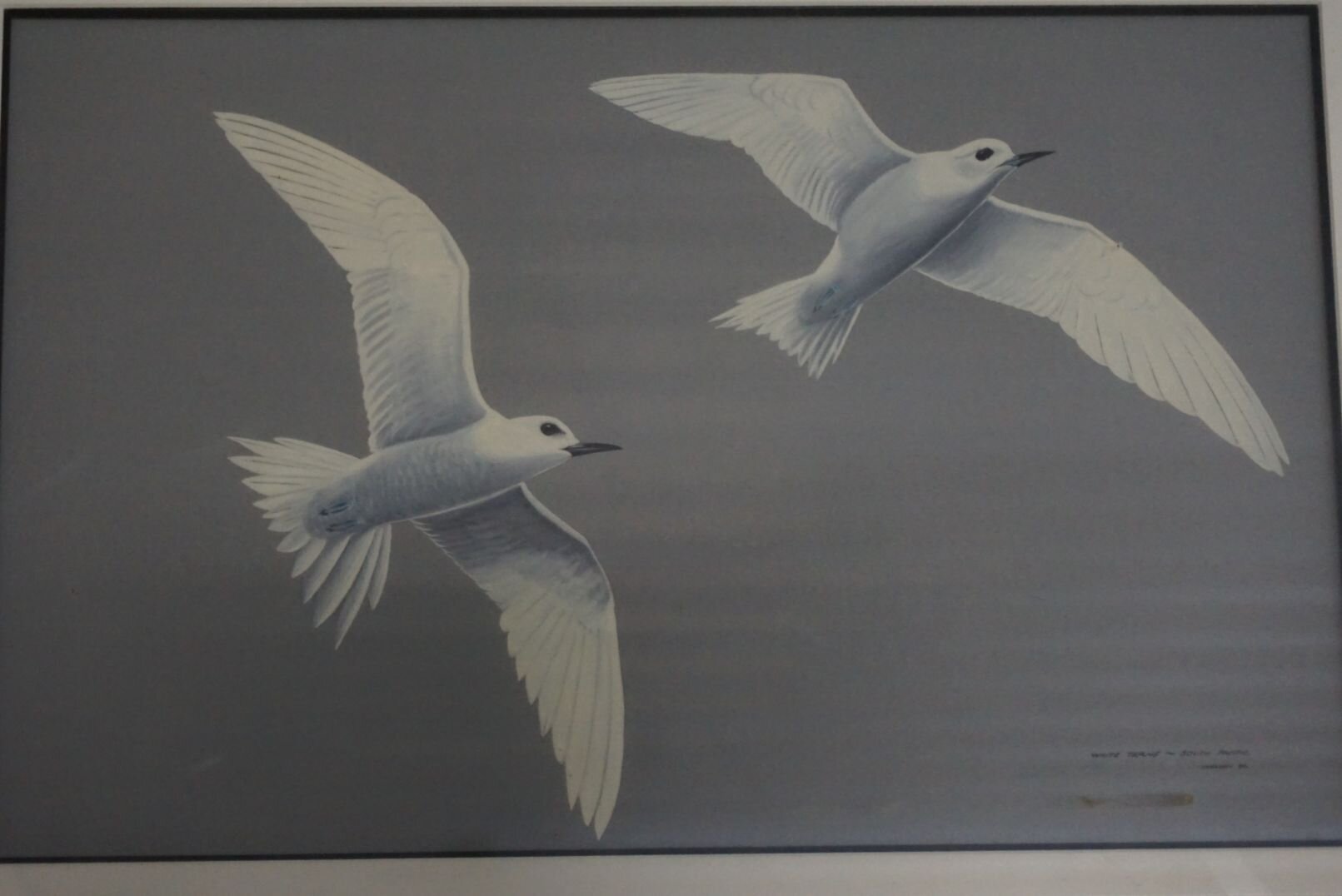 Image for June Online Sportsman's Auction 2022