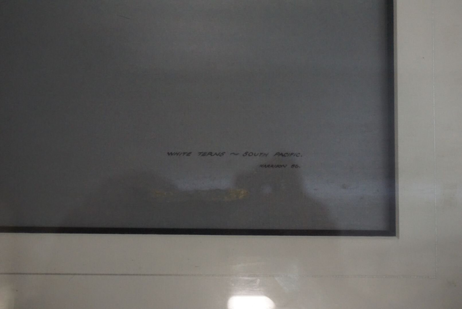 Image for June Online Sportsman's Auction 2022