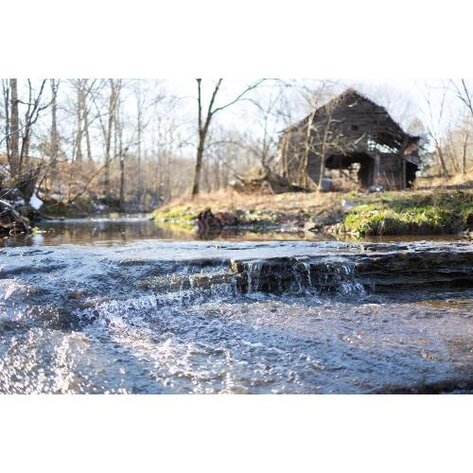 Image for 160 ACRES FARM W/7 SPRINGS & 2 CREEKS PLUS WATERFALLS!! ROLLING GORGEIOUS FARM LAND