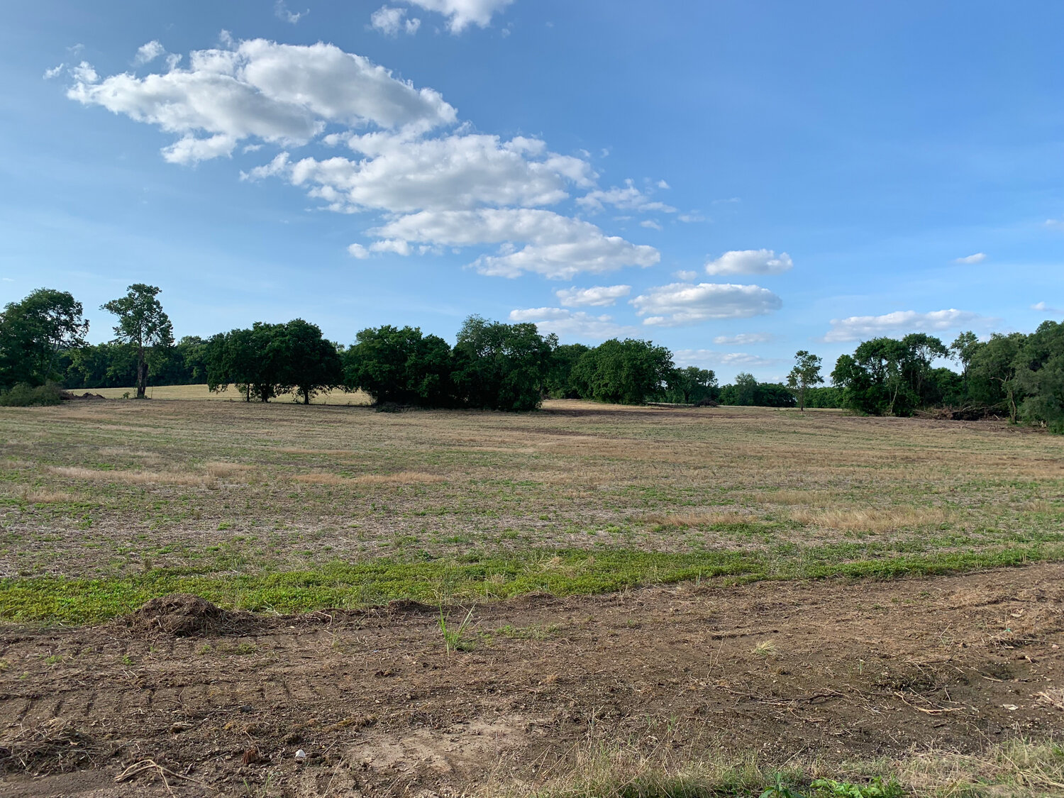 Image for 3832 Dry Fork Road, Whites Creek