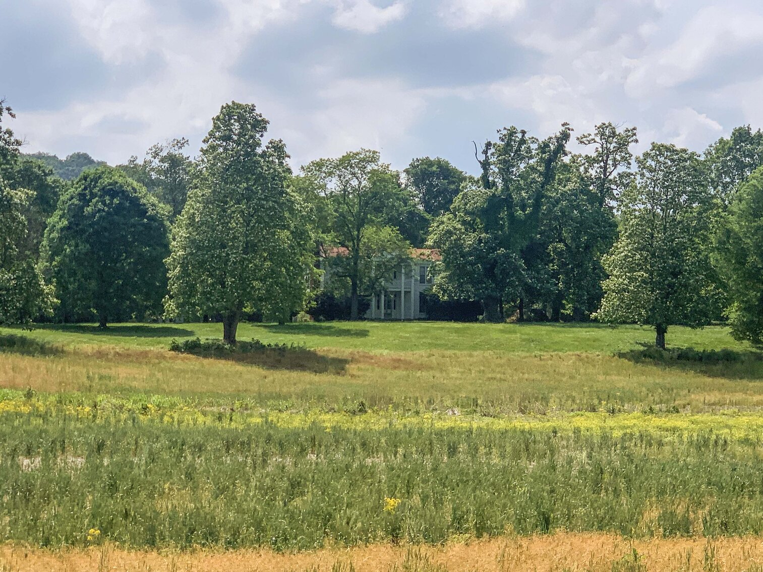 Image for 3832 Dry Fork Road, Whites Creek