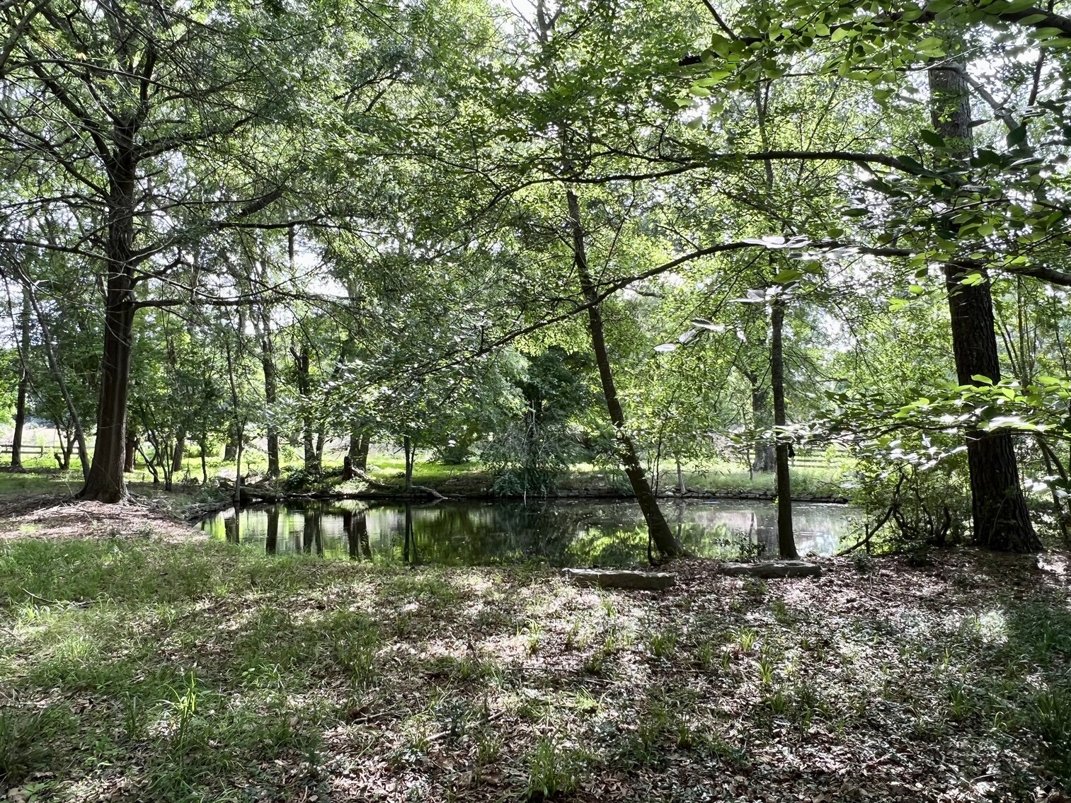 Image for 5237 Theys Rd, Raleigh, NC