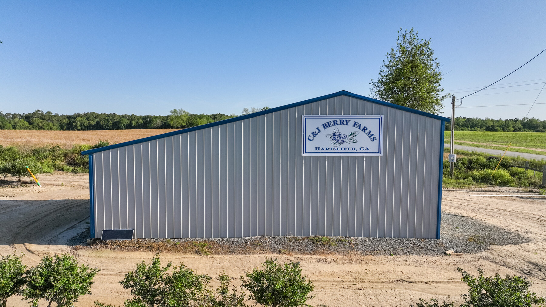 Image for Commercial Blueberry Operation - Colquitt County, Georgia