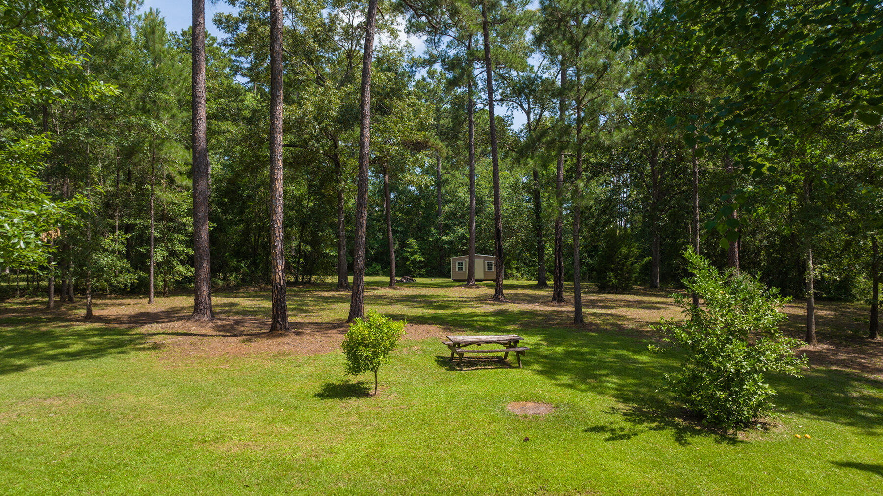 Image for Beautiful Country Home in Thriving Thomas County