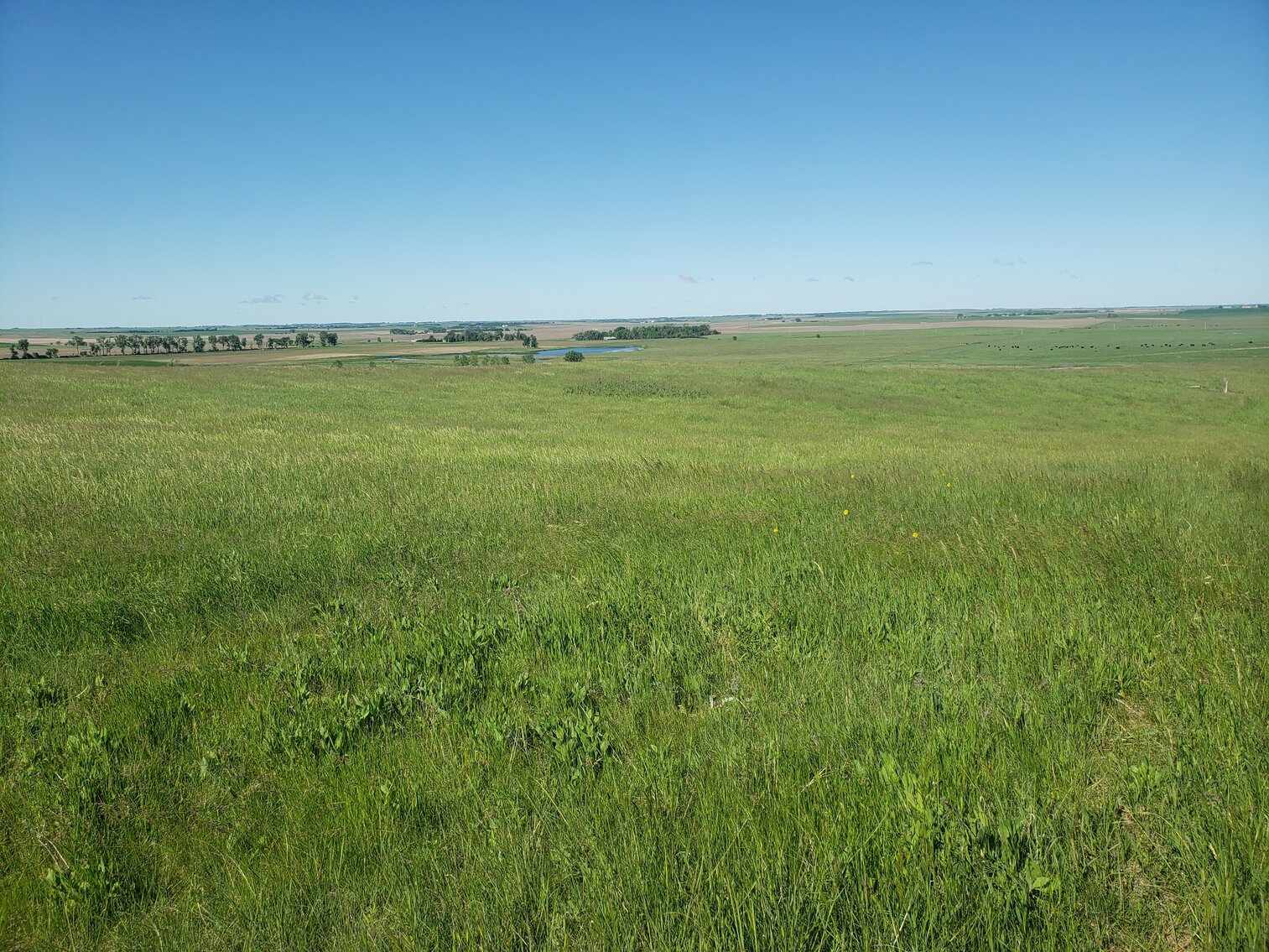 Image for 2 Tracts For Sale in Gregory County, South Dakota