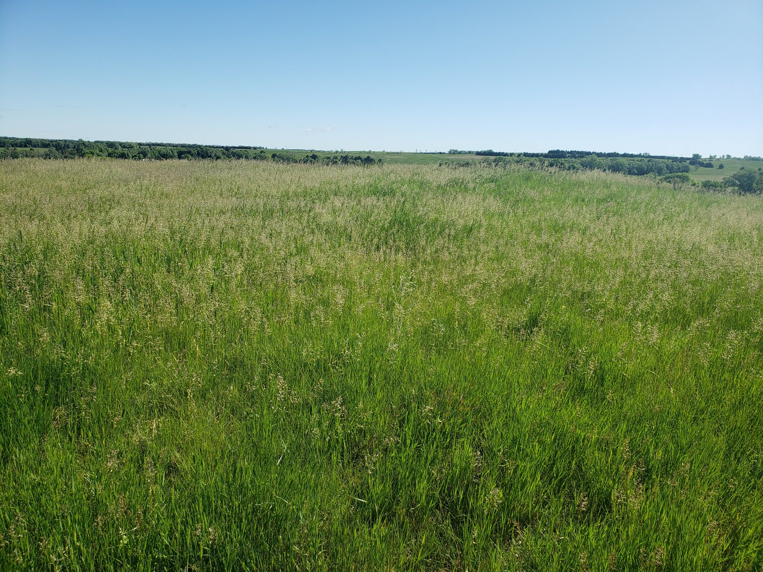 Image for 2 Tracts For Sale in Gregory County, South Dakota