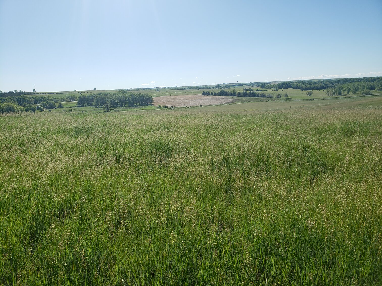 Image for 2 Tracts For Sale in Gregory County, South Dakota