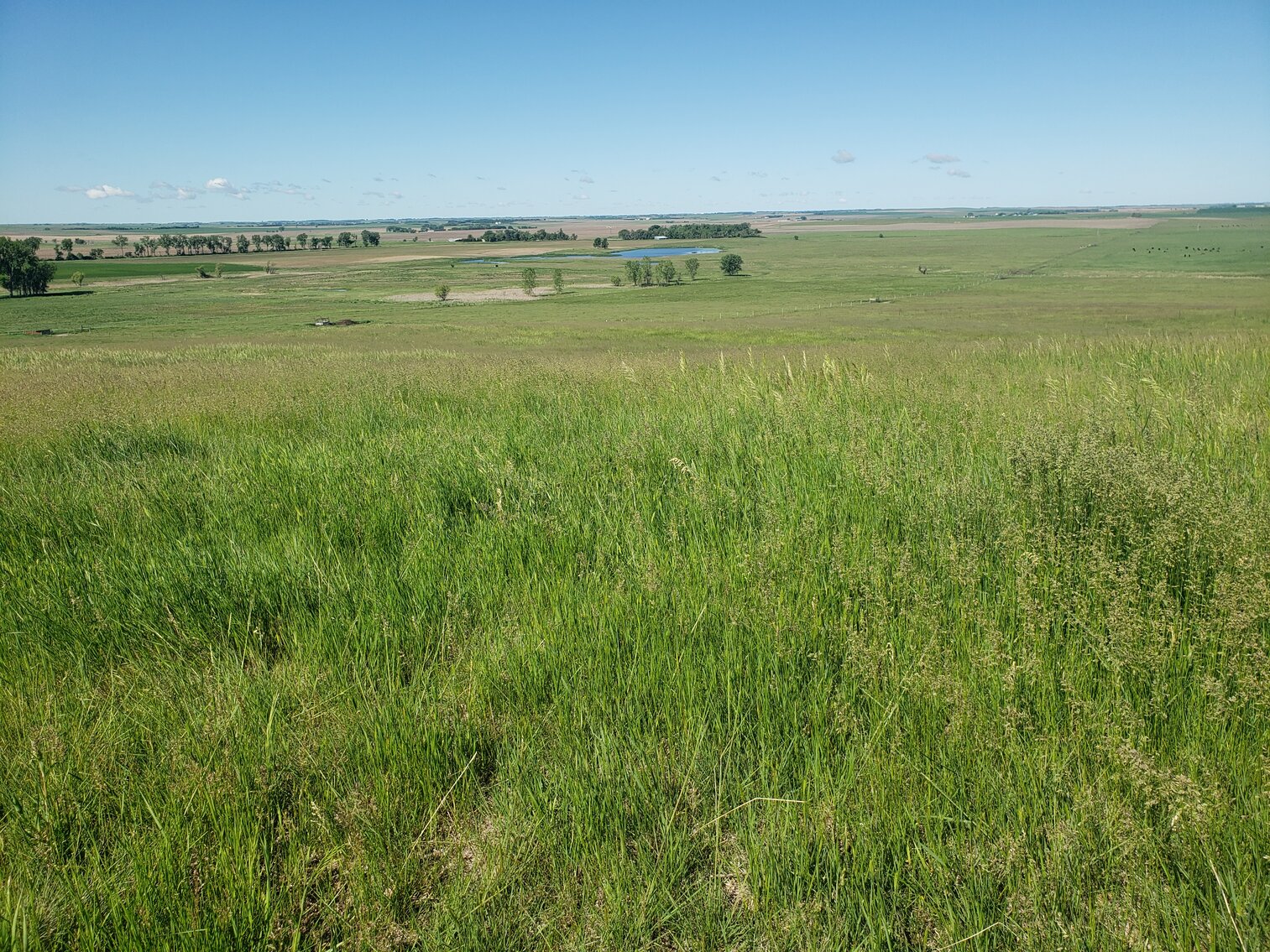 Image for 2 Tracts For Sale in Gregory County, South Dakota