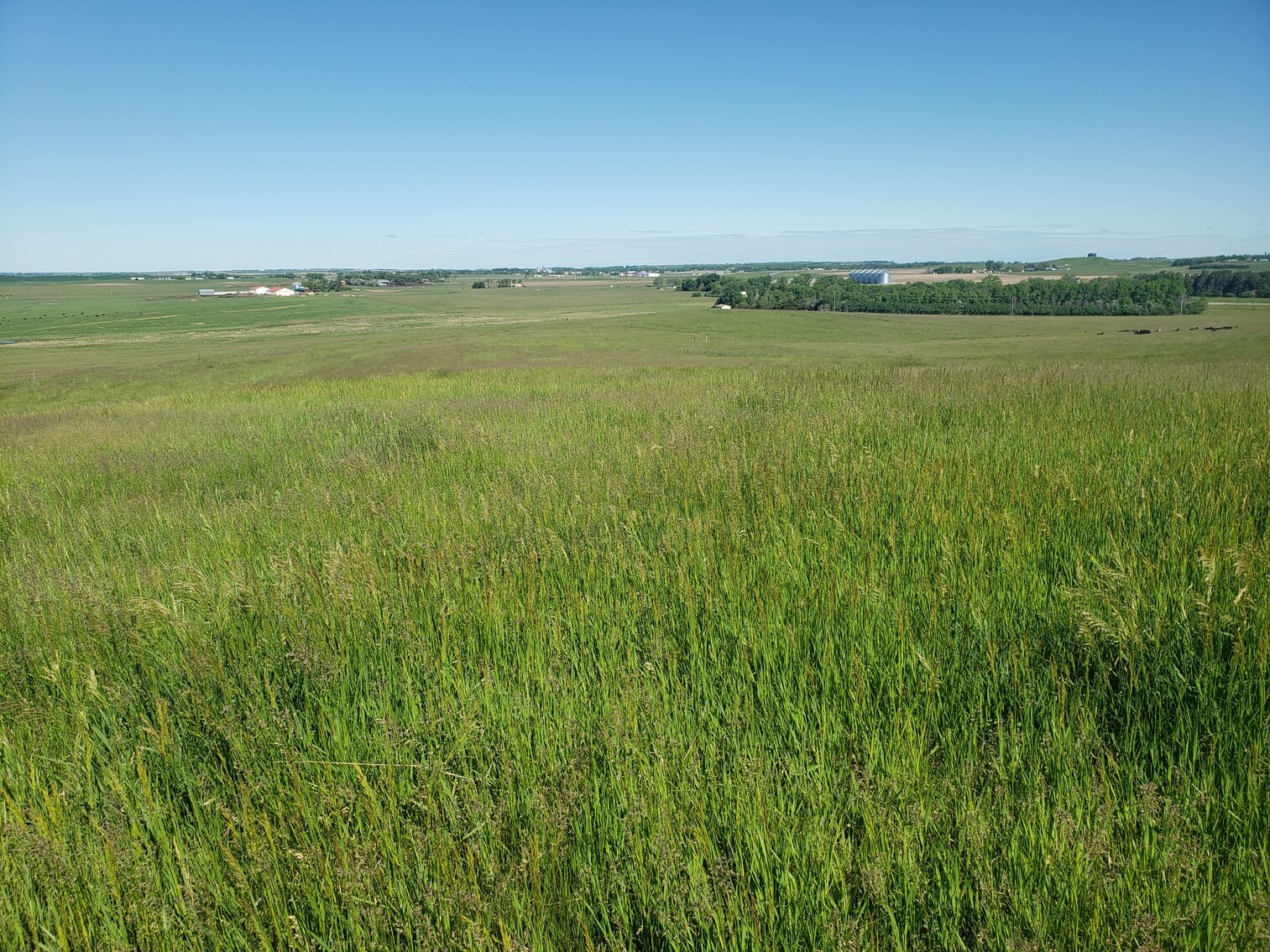 Image for 2 Tracts For Sale in Gregory County, South Dakota