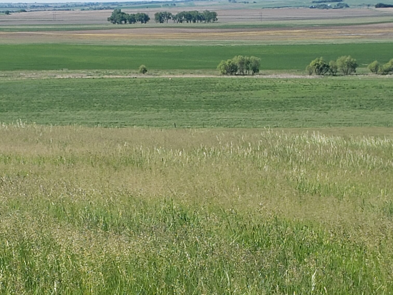 Image for 2 Tracts For Sale in Gregory County, South Dakota