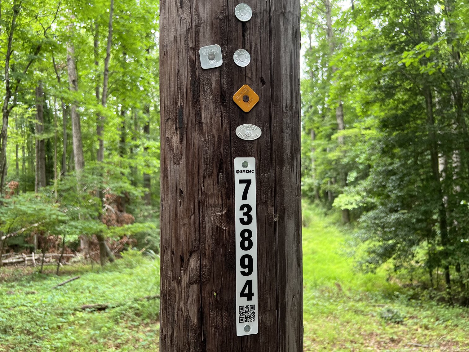 Image for Commissioner's Sale - 210 Penny Lane, Elkin, NC - 10.7± Acres