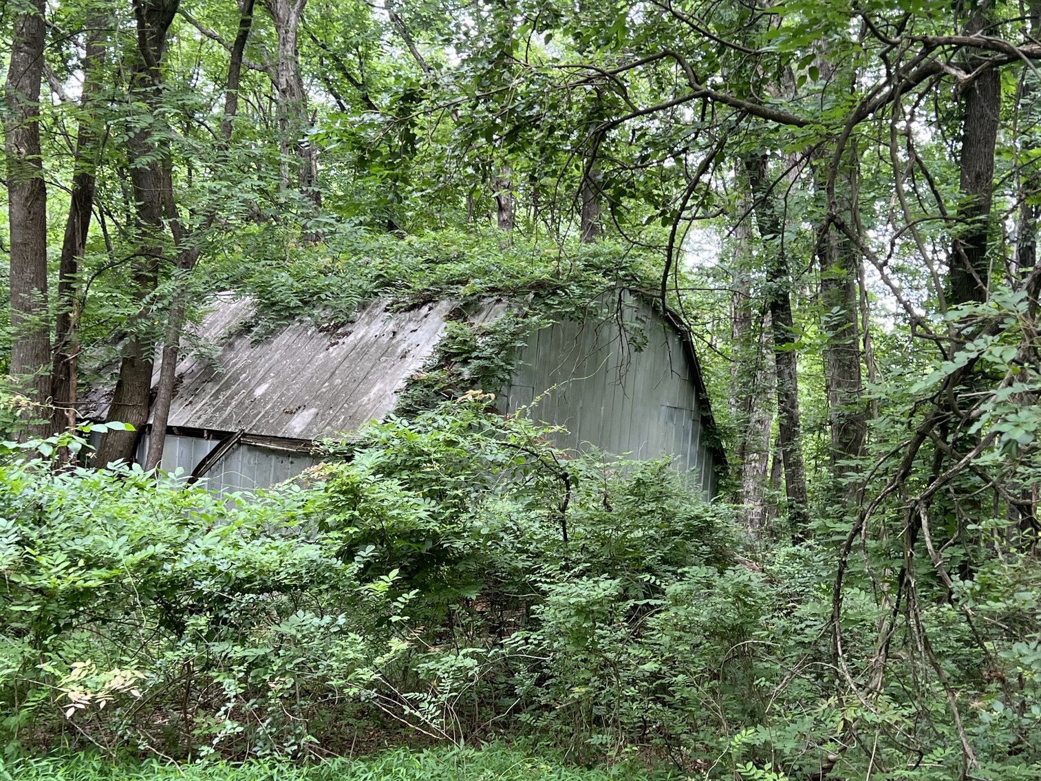 Image for Commissioner's Sale - 210 Penny Lane, Elkin, NC - 10.7± Acres