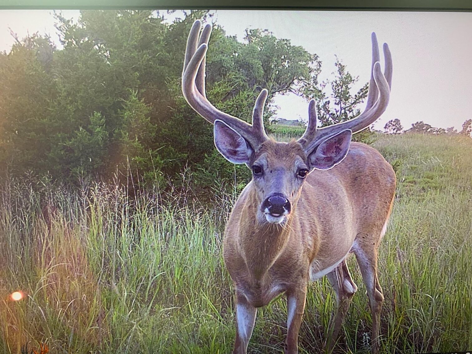 Image for 310.9+/- Deeded Acres in Garfield County, NE with Irrigated Acres and Recreational Property
