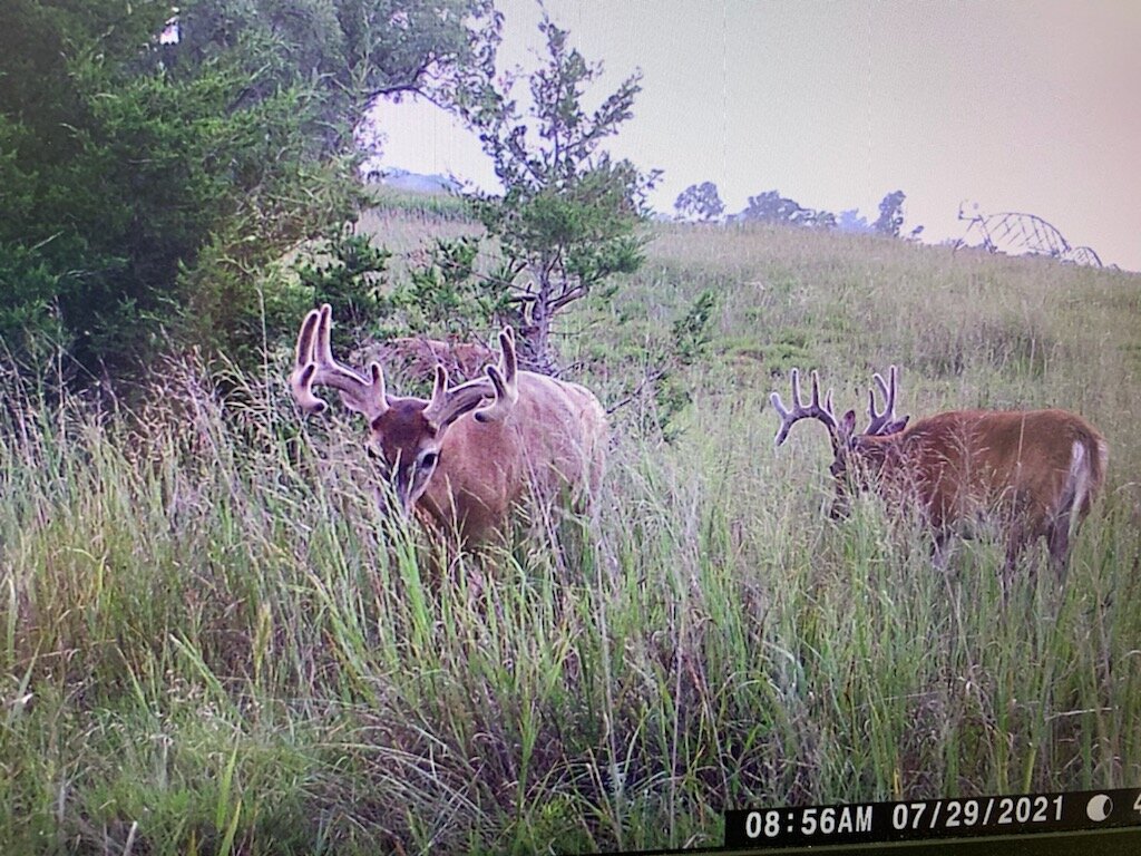 Image for 310.9+/- Deeded Acres in Garfield County, NE with Irrigated Acres and Recreational Property